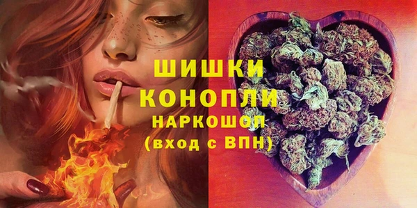 сатива Алексин