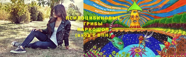 сатива Алексин